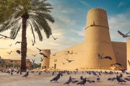 كنوز الرمال واستكشاف جمال الوجهات السياحية السعودية