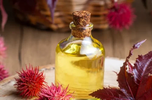 من الفراعنة إلى اليوم سر الخصلات القوية في زيت الخروع للشعر