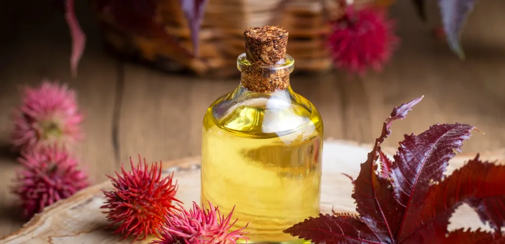 من الفراعنة إلى اليوم سر الخصلات القوية في زيت الخروع للشعر